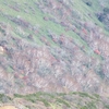 那須の山　ダケカンバ・氷など