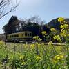 房総半島の中心部を南北に走る小湊鉄道と菜の花カラーの黄色い電車いすみ鉄道が接続する大多喜町・上総中野駅へ行ってきました！