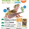 11月2.3日九州爬虫類フェス出展致します！