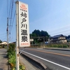 天井からドバドバ過ぎる源泉掛け流し 姉戸川温泉（アネドガワオンセン）