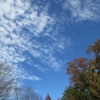 今週の三田・里山キャンパス（580）：今日の雲