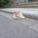 ササミブログ