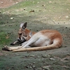 平川動物園に行って来ました vol4