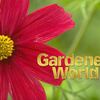 BBCガーデナーズワールド（2019年第14回）BBC Gardeners' World Live報告