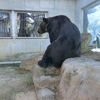 ２０１９／１１／１７　東武動物公園