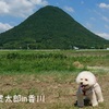 ～愛犬とのロングドライブについて～