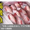 ５月１７日（水）今日は全国的に暑くなる、きのうニヘイでベコニアを買ってくる、高級魚が海外へ