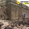 「ハマスが無ければ・・・」「4mの隆起、海岸線が85㎞隆起して海へ250m拡大」「日本の公務員数、OECD最低」「陸自幹部ら靖国参拝」「万博止めて能登復興へ」など