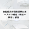 【放射線技師国試対策】基礎医学大要の問題の解説。人体の構造と機能まとめ