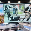 生をつなぐつかのまの