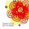 SOTTE BOSSE おかわり