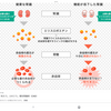 貧血の原因は、腎臓衰弱。