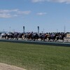 青春１８きっぷの旅３　中京競馬場