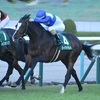 競馬初心者必見☆馬券予想🔥〜チャレンジカップ〜3歳馬牝馬のあの馬が圧勝劇を見せる！？〜