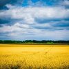 【ウクライナ概要】なぜロシアがウクライナに侵攻した？