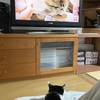見つめる先は