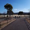 筑後広域公園