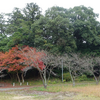 国分寺古墳　福井県小浜市国分