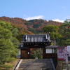 霊鑑寺、京都・秋の特別公開。