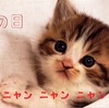 今日は何の日 
