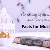 The Month of Ramadan and Interesting Facts for Muslims