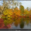 秋の写真を撮る（４）雲場池の研究（広角）