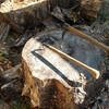 巨木の薪割り