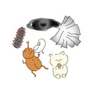 ヒコタツブログ