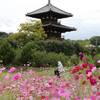 法起寺で見た、日本の原風景