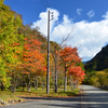 飛騨地方の紅葉が見頃を迎えつつあります！