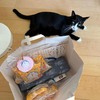 ドラえもんよりくろちゃん