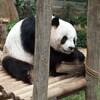 Zoo Negara マレーシアの動物園