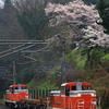 桜の木とDE10プッシュプルの石蟹工臨を撮る！