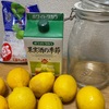 【夏のお酒】レモンで果実酒作ってみた【おうち飲み】