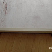 記事一覧 Interlocking S Blog