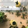 再開のご挨拶
