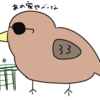 鳥め！もう近づけまい！の巻