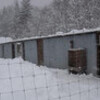 繁殖小屋の屋根の雪下ろし