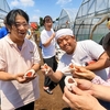 今年もやりました！　おもろい温泉　栃木いちご狩りオフ🍓