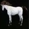 ８世代黒タテガミ白馬の育成結果と、スキル変更権で禿げて、金馬と交配した記録。