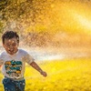 【2024年5月22日】立派に成長しいていく我が子に関心 #142