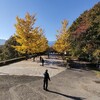 【低予算旅行】晴天の青、イチョウの黄色…道の駅ちちぶ車中泊の旅