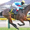 競馬あれこれ　第128号