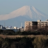 荒川土手～富士山続き
