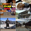 北国街道・海野宿で胡桃蕎麦と雷電　小諸宿と懐古園　お洒落ランチ＆スィーツ　🍦🐱