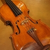 新着ヴァイオリン②　Caesar Castelli (カエサル・カステリ）　モダンイタリアンヴァイオリン　1954年製