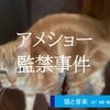 アメショー監禁事件