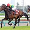 競馬初心者必見☆馬券予想🔥〜ニュージーランドT〜混戦模様の一戦