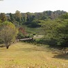 多摩湖（東京都東村山市）