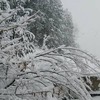 雪＆雪＆雪